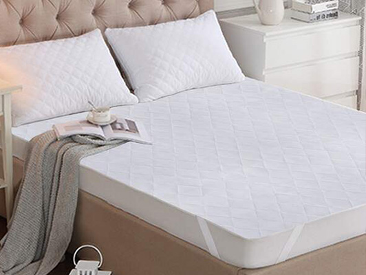 Mattress Protector